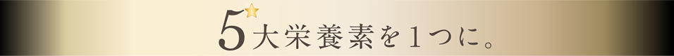 5大栄養素を1つに
