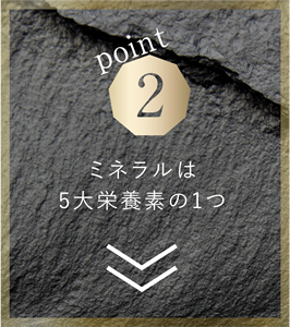 ミネラルは5大栄養素の1つ